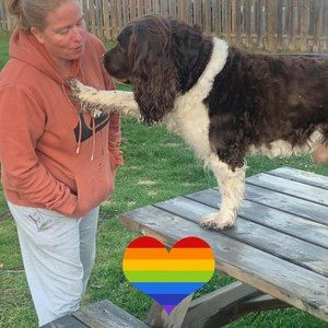 Meet your Posher, Melanie